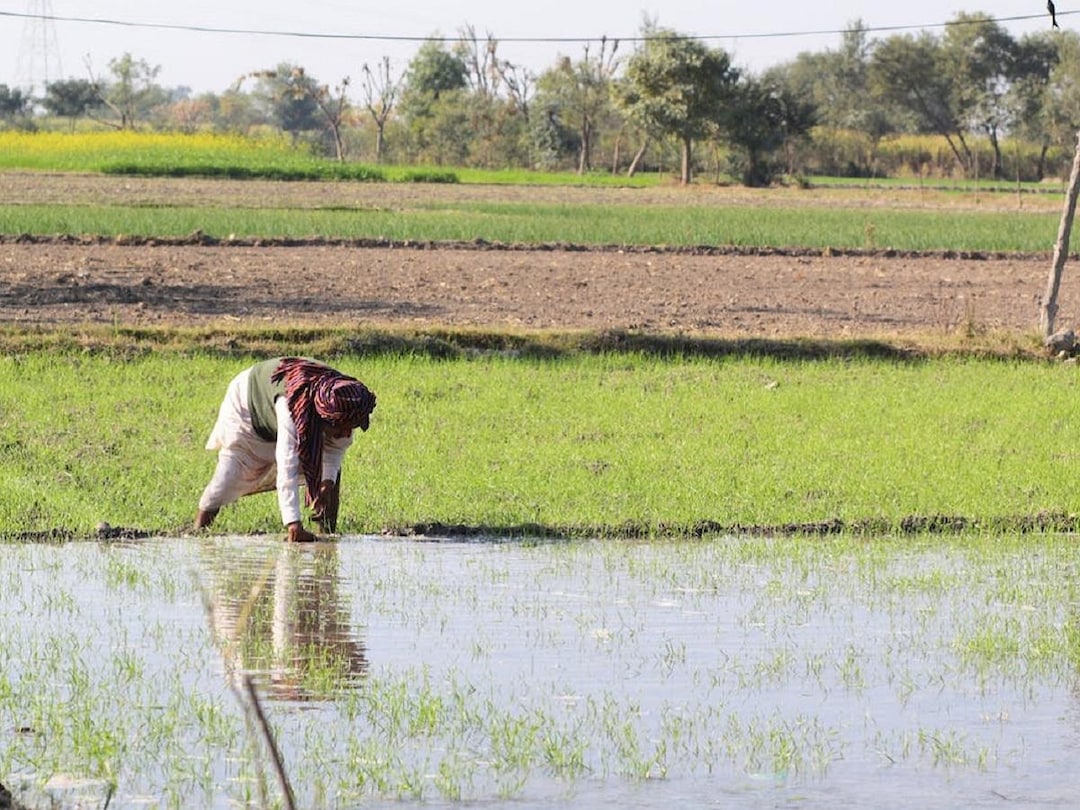 PM Kisan Samman Nidhi Scheme की 18वीं किस्त से पहले बड़ा बदलाव, 12 करोड़ से ज्यादा किसानों के लिए जानना जरूरी