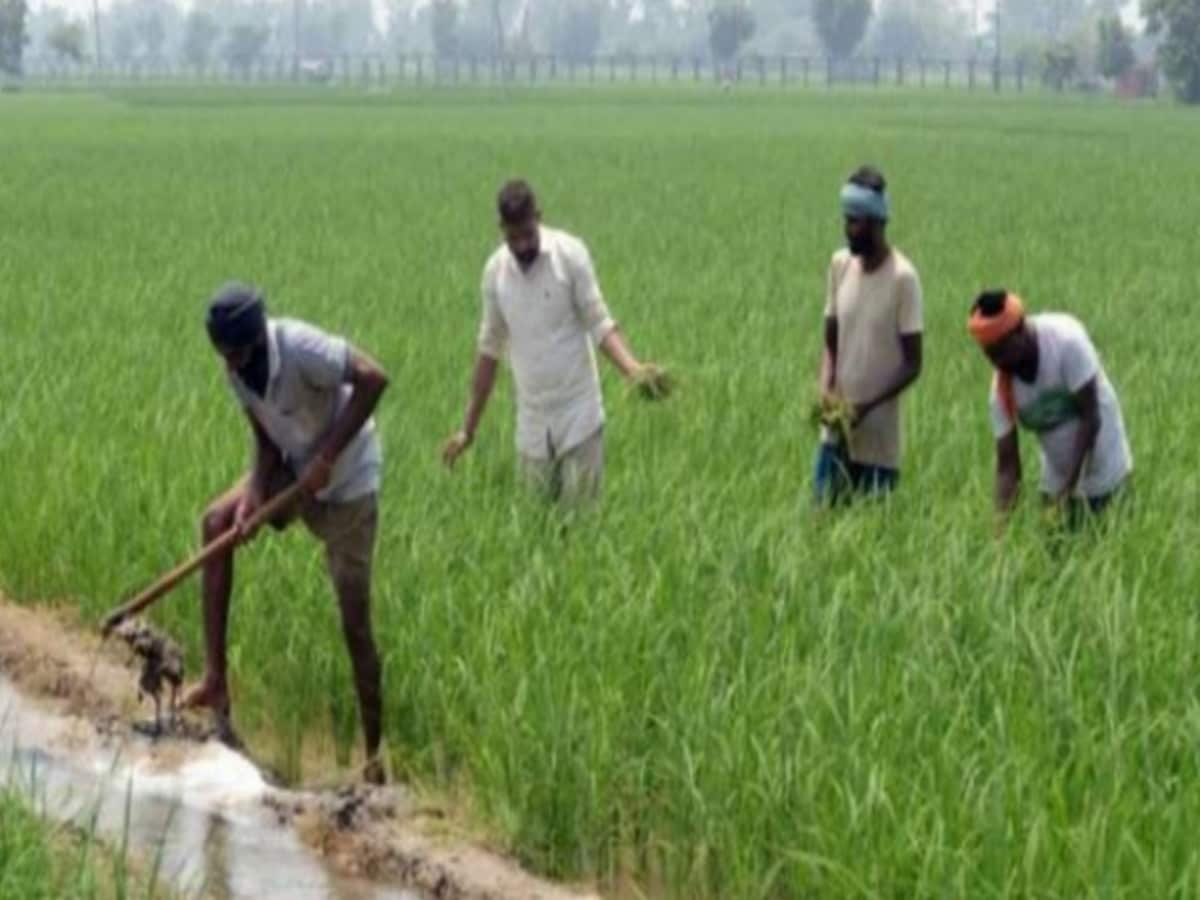 PM Kisan Samman Nidhi Scheme की 18वीं किस्त से पहले बड़ा बदलाव, 12 करोड़ से ज्यादा किसानों के लिए जानना जरूरी