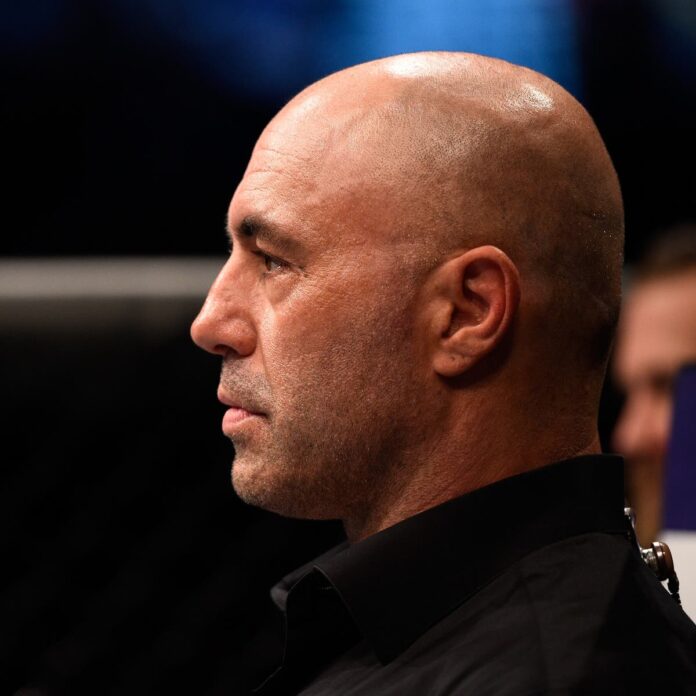 Joe Rogan Endorses Trump, and Trump Calls Him ‘the Biggest There Is